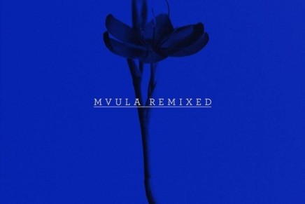 Laura Mvula – Green Garden (S O H N Remix)