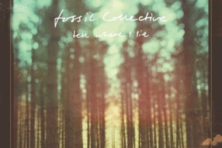 Fossil Collective – Wolves