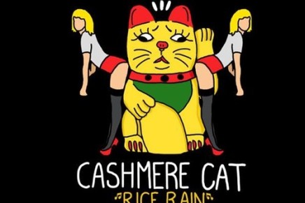CASHMERE CAT – RICE RAIN (TWINZTRACK REMIX)