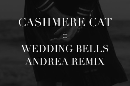 Cashmere Cat – Wedding Bells (Andrea Remix)