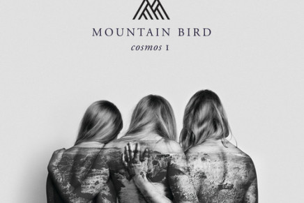 MOUNTAIN BIRD – VIOLENT NIGHT