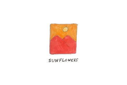 Matthew Chaim – Sunflowers